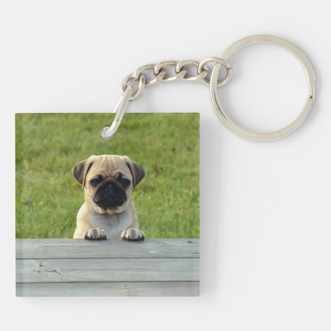 Pug Pup Keychain (Back)