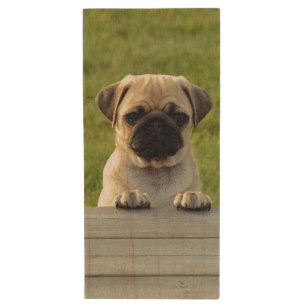 Pug Pup Photo Wood Flash Drive