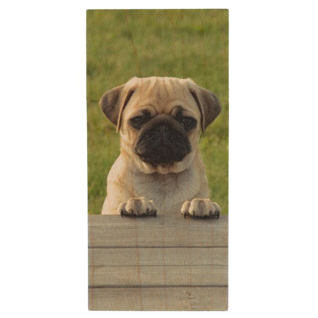 Pug Pup Photo Wood Flash Drive (Front Vertical)