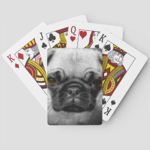 Pug Pup Poker Cards