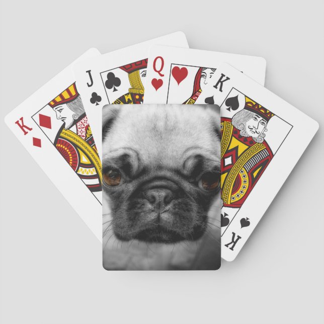 Pug Pup Poker Cards (Back)
