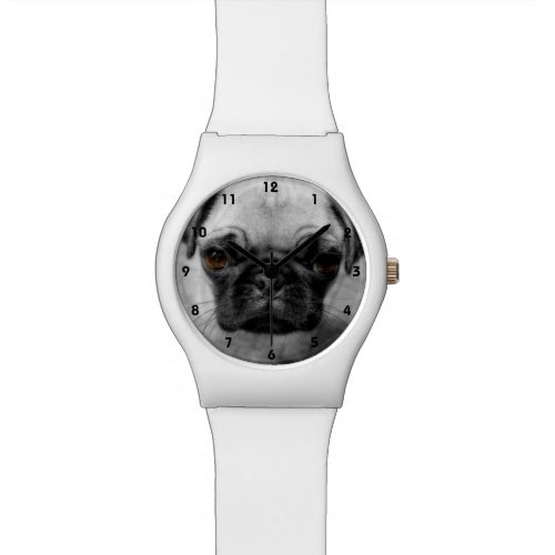 Pug Pup Watch