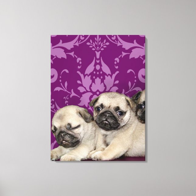Pug Puppies Canvas Print (Front)