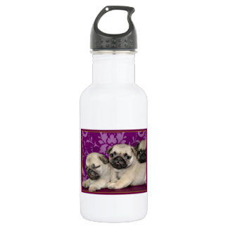 Pug puppies dog water bottle