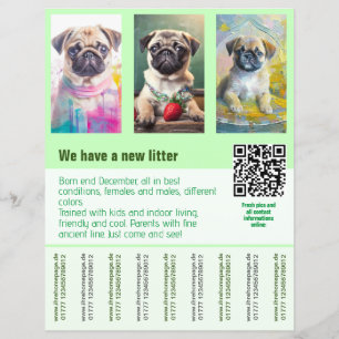 Pug puppies for sale flyer template QR code