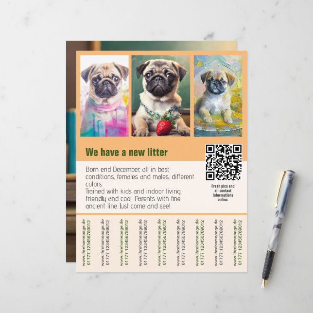 Pug puppies for sale flyer template QR code (Front/Back In Situ)