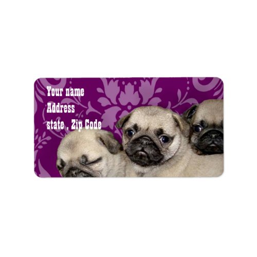 Pug Puppies Label