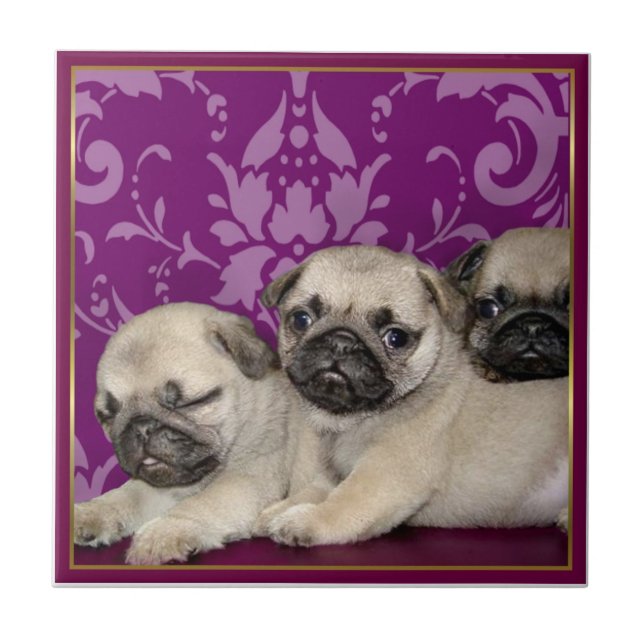 Pug Puppies Tile (Front)