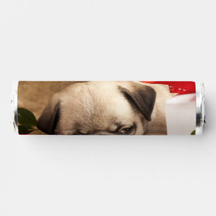 Pug Puppy and Gift Box Breath Savers® Mints