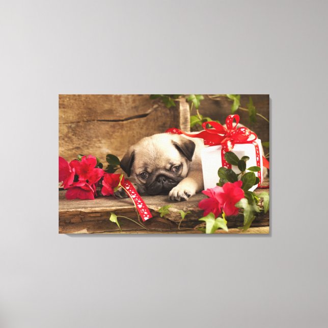 Pug Puppy and Gift  Box Canvas Print (Front)