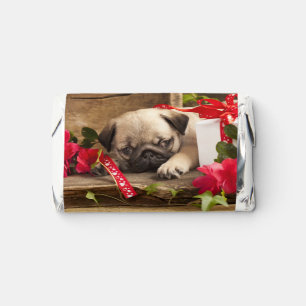 Pug Puppy and Gift Box Hershey's Miniatures