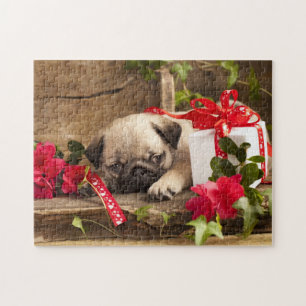 Pug Puppy and Gift Box Jigsaw Puzzle