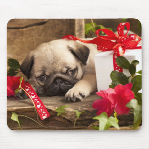 Pug Puppy and Gift  Box Mouse Pad