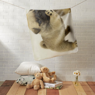 Pug Puppy Baby Blanket