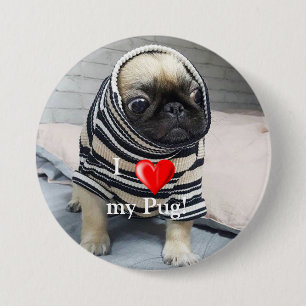 Pug Puppy Button