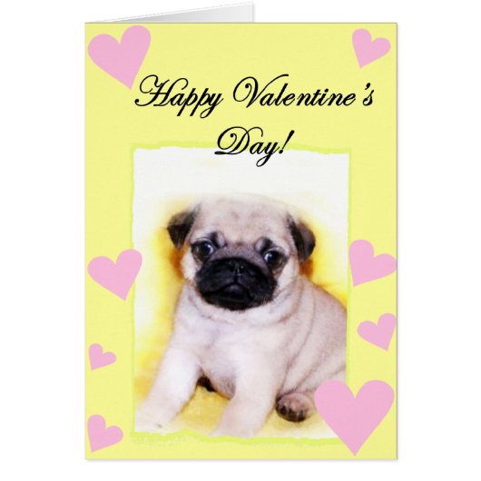 Pug Puppy Cards (Front)