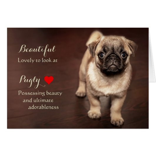Pug Puppy Cards (Front Horizontal)