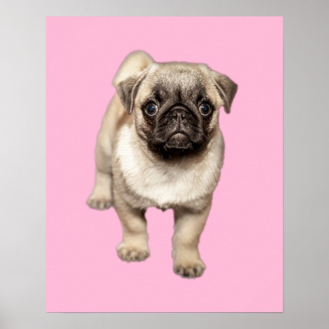Pug Puppy Custom Background Color Poster (Front)