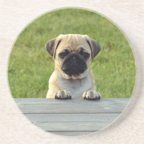 Pug Puppy Cute Photo Coaster