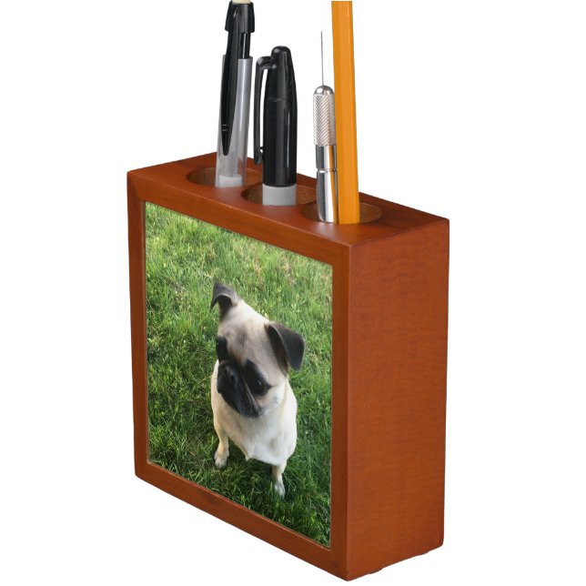 Pug Puppy Desk Organizer (In Situ)