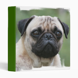 Pug Puppy Dog Binder