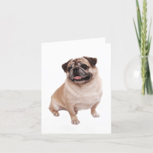 Pug Puppy Dog Blank Greeting Note Card