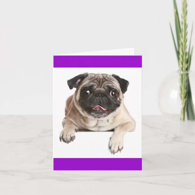 Pug Puppy Dog Blank Greeting Note Card (Front)