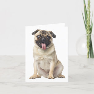Pug Puppy Dog Blank Note Card