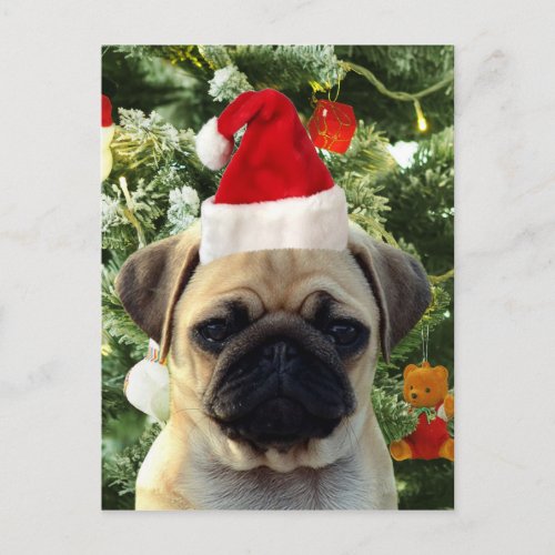 Pug Puppy Dog Christmas Tree Ornaments Snowman Holiday Postcard