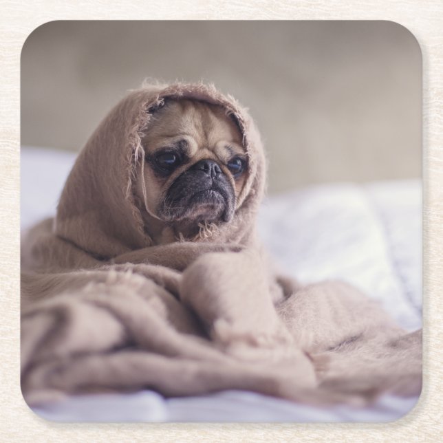 Pug puppy Dog Cuddling in a warm towel Blanket Square Paper Coaster (Front)