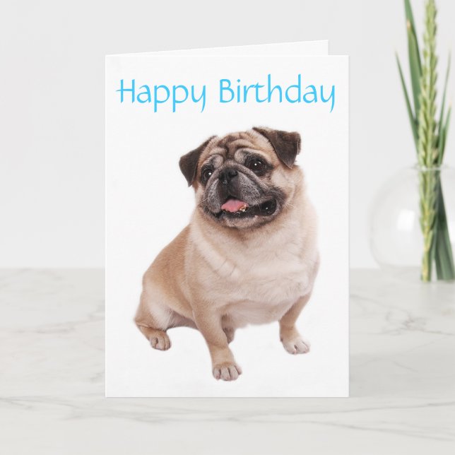 Pug Puppy Dog  Happy Birthday Card - Verse inside (Front)