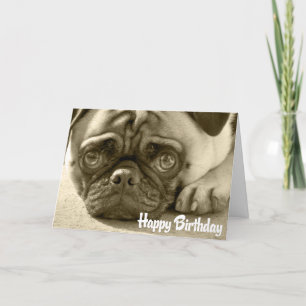 Pug Puppy Dog Happy Birthday Card - Verse inside