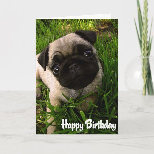 Pug Puppy Dog  Happy Birthday Card - Verse inside (Front)