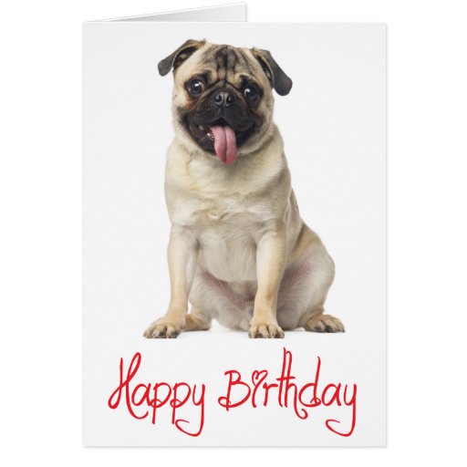 Pug Puppy Dog Happy Birthday Card - Verse inside | Zazzle