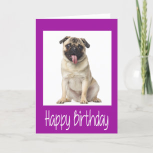 Pug Puppy Dog Happy Birthday Card - Verse inside
