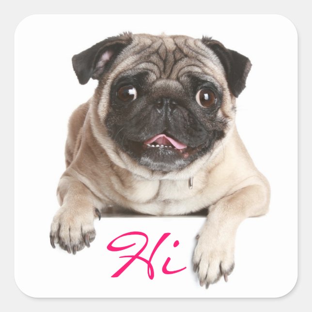 Pug Puppy Dog Hello Greeting Stickers (Front)