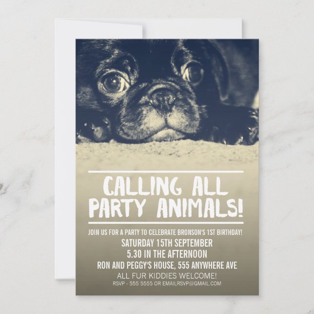 Pug Puppy Dog Party Invite [Full Bleed Photo] (Front)