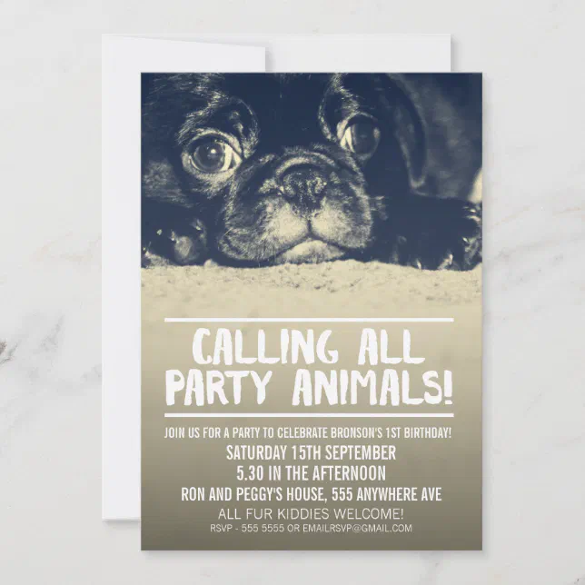 Pug Puppy Dog Party Invite [Full Bleed Photo] | Zazzle