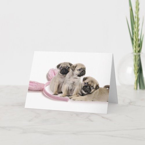 Pug Puppy Easter Card