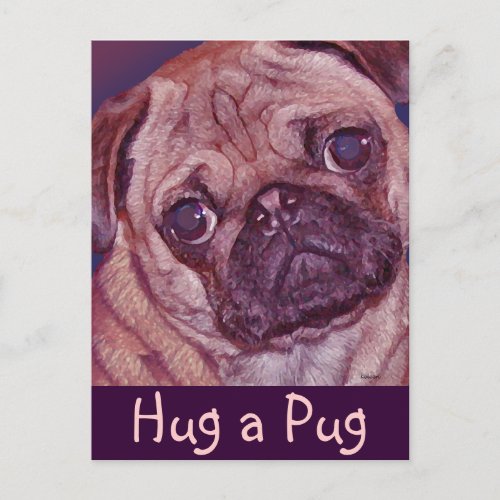 Pug Puppy Face Postcard