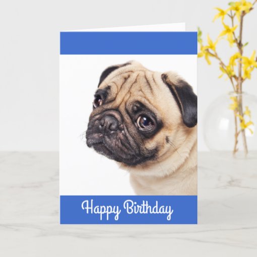 Pug Puppy Happy Birthday Card - Verse inside | Zazzle