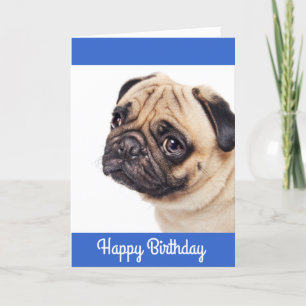 Pug Puppy Happy Birthday Card - Verse inside