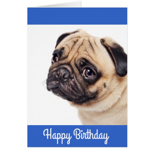 Pug Puppy Happy Birthday Card - Verse inside | Zazzle