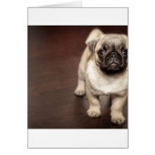 pug-puppy in sepia (Front)