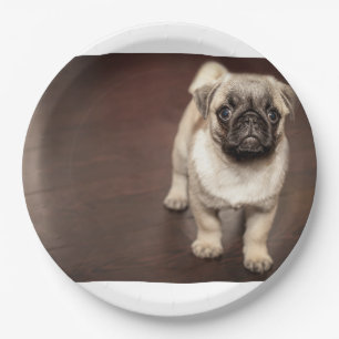 pug-puppy in sepia paper plates