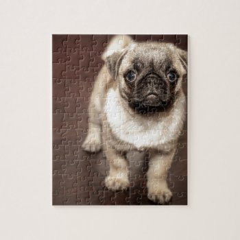 Pug Puppy Jigsaw Puzzle by Theraven14 at Zazzle