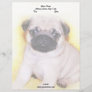 Pug Puppy Letterhead