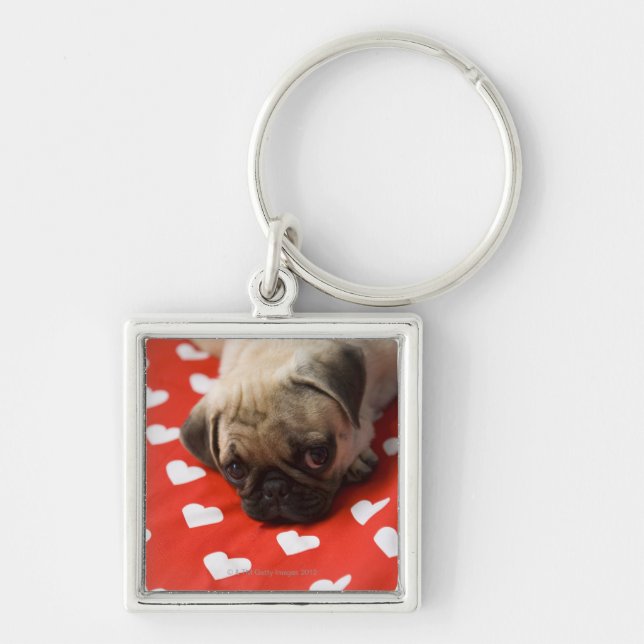 Pug puppy lying on bed, close up keychain (Front)