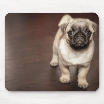 Pug Puppy Mouse Pad by Theraven14 at Zazzle