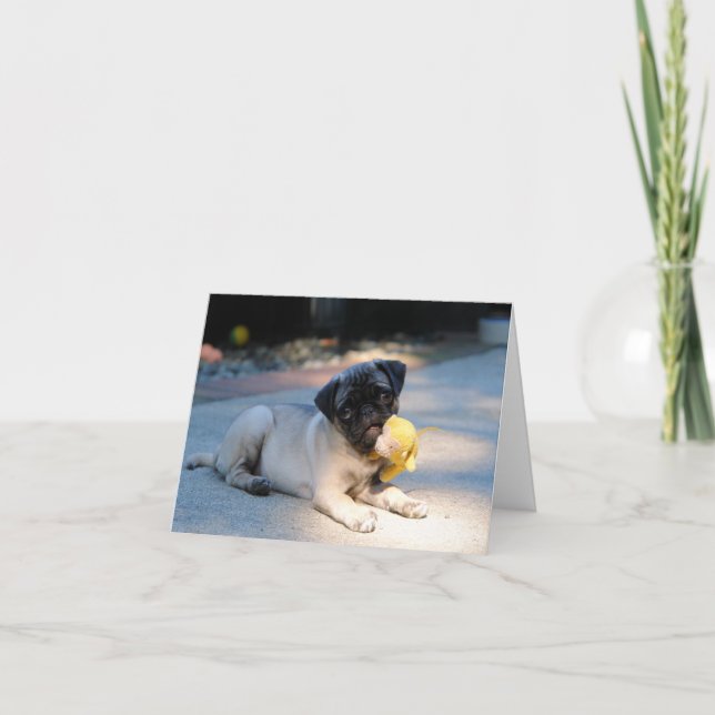 Pug Puppy Note Card (Front)